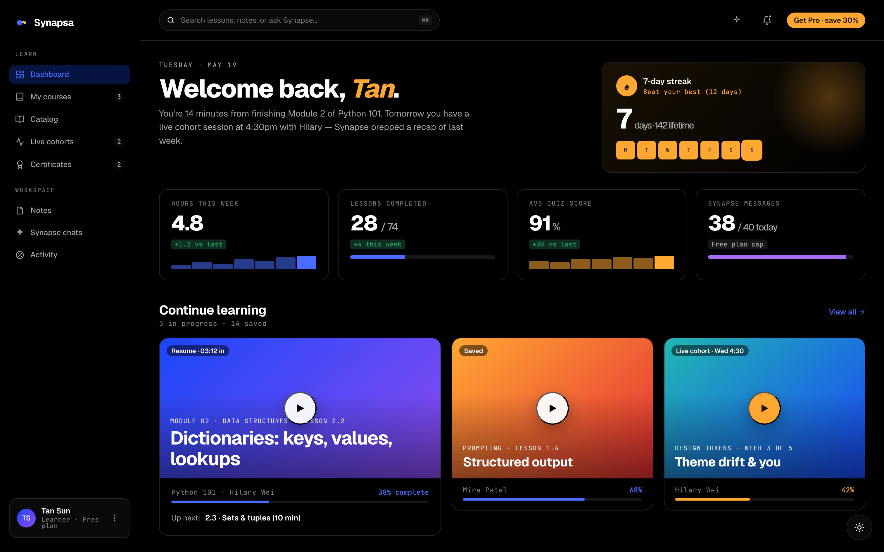 Synapsa learner dashboard on the desktop — streak, progress and continue-learning